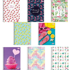 CADERNO UNIVERSITÁRIO 1X1 96FOLHAS CAPA DURA  D+