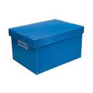CAIXA ORGANIZADORA PEQUENA 19X23X31 - POLYCART