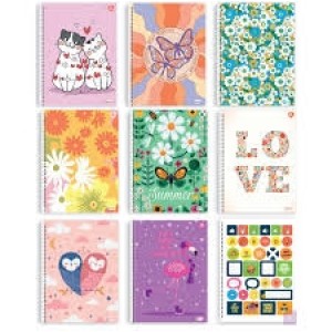 CADERNO UNIVERSITÁRIO 10 MATÉRIAS CAPA DURA 200 FOLHAS SD