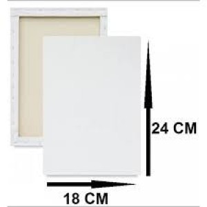 TELA PARA PINTURA 18X24